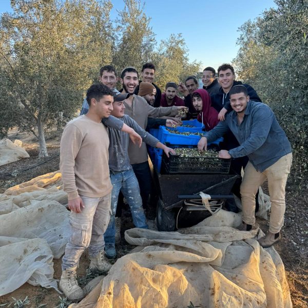 תמונה של WhatsApp‏ 2024-12-12 בשעה 11.21.06_be973002