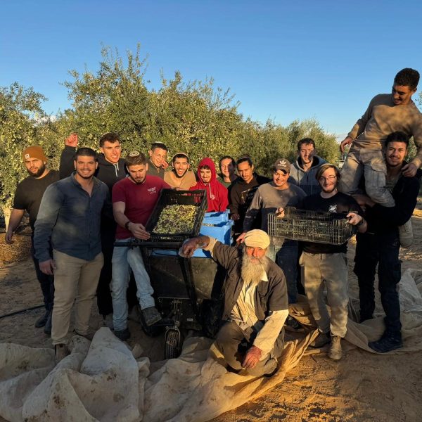 תמונה של WhatsApp‏ 2024-12-12 בשעה 11.21.07_67ce30f9